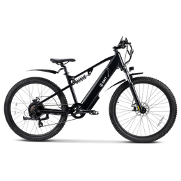 APEX E-bike